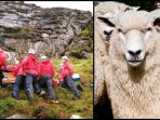 Pendaki Asal Irlandia Dilarikan ke Rumah Sakit setelah Tertimpa Domba yang Terjatuh