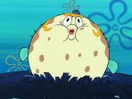 mrs-puff_20171229_121418.jpg