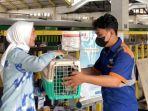 mudik-naik-kereta-api-bawa-hewan-peliharaan.jpg
