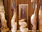 museum-phalus_20161118_194557.jpg