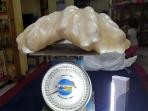 mutiara-raksasa_20160907_182342.jpg