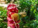 nago-pineapple-park-satu-taman-hiburan-terunik-di-jepang.jpg