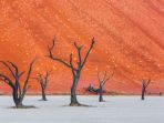 namib-naukluft-park_20171117_103556.jpg