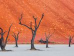 namib-naukluft-park_20180303_152913.jpg