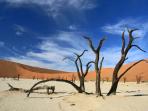 namibia_20161202_161114.jpg