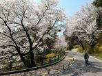 namsan-park.jpg