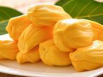nangka_20171012_155317.jpg