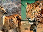 national-zoological-park-di-delhi.jpg