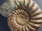 nautilus_20180212_112349.jpg