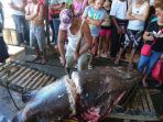 nelayan-sedang-memotong-ikan_20170502_083535.jpg