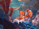 nemo_20170726_140825.jpg