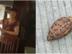 nenek-di-china-berikan-granat-hidup-pada-cucunya-karena-dikira-mainan_20180919_154554.jpg