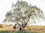 new-south-wales-australia.jpg
