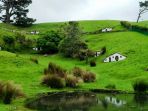 new-zealand_20180106_152802.jpg