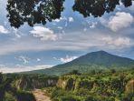 ngarai-sianok-htm.jpg