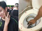 ngeri-kemaluan-pria-ini-digigit-ular-sanca-saat-sedang-duduk-di-toilet-rumahnya.jpg