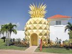 Nickelodeon and Nick Resort - Nggak Cuma Melihat di TV, Kamu Bisa Tinggal di Rumah Spongebob Lho