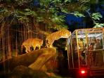 night-safari-singapore_20161220_163337.jpg