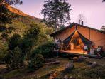 nightfall-wilderness-camp-gold-coast.jpg