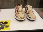 nike-dunk-low-pro-sb_20170422_114334.jpg
