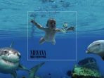 nirvana-nevermind_20170619_134227.jpg