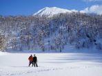 niseko-japan.jpg