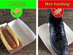 not-hotdog_20170516_191652.jpg