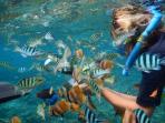 nusa-lembongan_20161220_175516.jpg