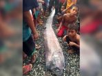 oarfish_20170228_175736.jpg