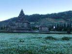 objek-wisata-candi-arjuna-dieng-diselimuti-bun-upas.jpg