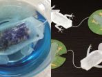 ocean-tea-bag_20180517_201915.jpg