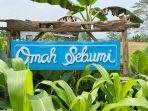 omah-sebumi-mengusung-konsep-eco-farmstay.jpg
