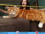 omar_20170518_212954.jpg