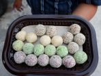 onde-onde_20170616_154755.jpg