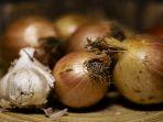 onions.jpg