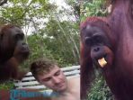 orang-utan_20170117_113618.jpg