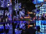 orchard-road_20161210_132631.jpg