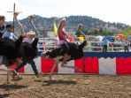 ostrich-racing_20170402_202247.jpg