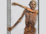 otzi-the-iceman_20170217_205423.jpg
