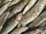 oyak-otak-bandeng-lamongan.jpg
