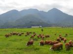 padang-mangateh_20160807_164804.jpg