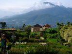 pamandangan-lahan-bunga-dengan-latar-belakang-gunung-panderman-di-desa-sidomulyo-batu.jpg