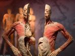 pameran-real-bodies-di-australia_20180414_100150.jpg