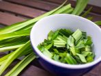 pandan_20170422_085644.jpg