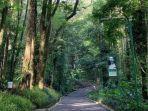 panduan-liburan-ke-hutan-raya-djuanda-bandung-lengkap-dengan.jpg