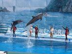 panduan-liburan-ke-safari-world-bangkok-cek-juga-harga-tiket-masuknya.jpg