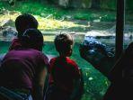 panduan-liburan-ke-singapura-zoo-singapura-lengkap-dengan-harga-tiket-masuk.jpg