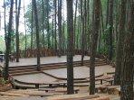 panggung-sekolah-hutan-pinus-mangunan.jpg