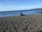 pantai-batu-angus_20160901_103435.jpg