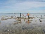pantai-batu-buaya_20170218_175026.jpg